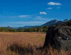 Jeep drive to Bakkare (Elephant Grasslands)