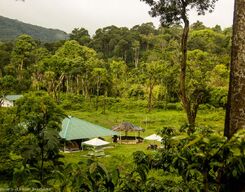 Birding & Camping Tour