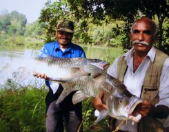 Angling in Coorg