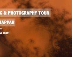 Birding & Photography Tour - Tal Chappar