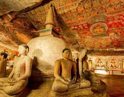 Sigiriya & Dambulla Sightseeing Tour from Kandy