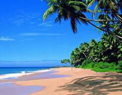 Bentota Day Tour from Colombo In Private Vehicle