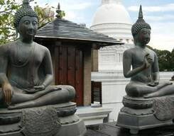 Full Day Sightseeing Tour - Colombo
