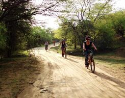 Bicycle Safari Through Nahargarh Biological Park