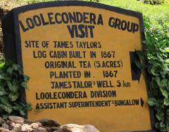 James Taylor's Loolkandura Tea Estate Tour from Kandy