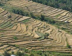 Hornbill Festival Of Nagaland