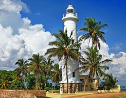 Galle Sightseeing, Balapitiya River Safari and Kosgoda Nature Tour