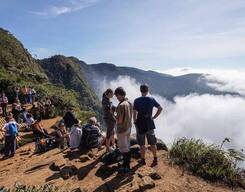 Horton Plains and Pedro Tea Factory Tour from Nuwara Eliya