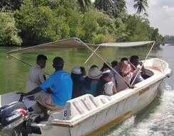 Madu River Boat Safari at Bentota