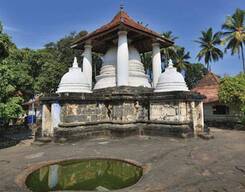 Kandy City Temple Tour
