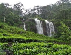 Seven Waterfalls Tour from Kandy