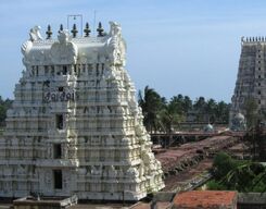 Rameswaram City Local Sightseeing Day Tour