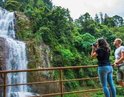 Nuwara Eliya Day Tour with Lunch