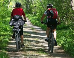 Bicycle Ride Across The Backwaters Of Kochi