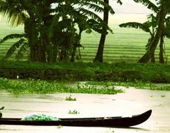 The Tale Of Ayamanam - A Village Tour
