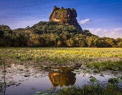 Sigiriya Rock Fortress and Village Tour from Dambulla