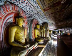 Dambulla Cave Temple & Village Tour with Lunch