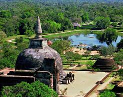 Polonnaruwa Ancient City and Minneriya Safari with Lunch