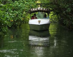 Bird Watching Cruise In Poovar