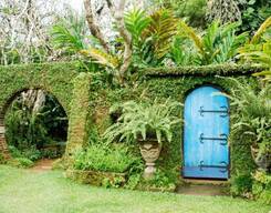 Bawa Gardens and Architecture Tour