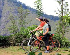 Ella Bicycle Tour
