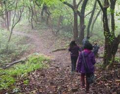 Brahmagiri Wildlife Trek from Bangalore