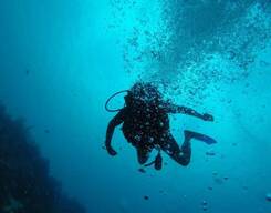 Scuba Diving In Rameswaram