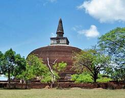 Polonnaruwa and Minneriya Day Tour from Kandy