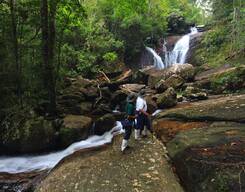 Overnight Rain Forest Adventure in Sinharaja with Return Transfers