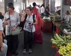 Udaipur Heritage Tour On Foot