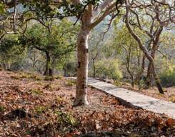 Hiking from Kumbhalgarh to Ranakpur Jain temple