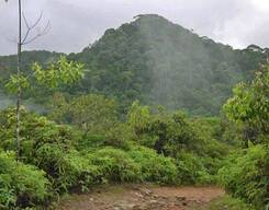 Sinharaja Rain Forest Day Trek from Galle