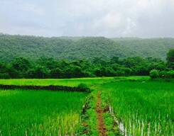 Go Trek @ Murud Janjira