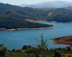 Ooty 2 Day Sightseeing Tour from Bangalore City