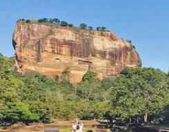 2-Day Tour to Sigiriya & Dambulla with Minneriya Jeep Safari