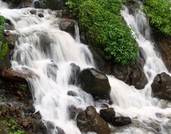 Amboli Waterfall & Hiranyakeshi Temple Private Tour