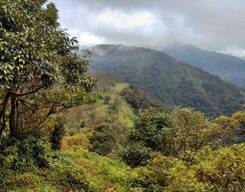 Nishani Motte Wildlife Circuit Trek