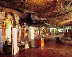 2-Day Sigiriya & Dambulla Tour with Minneriya Jeep Safari (All Inclusive)