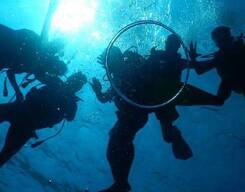 Fun Dives for Certified Scuba Divers at Netrani Island