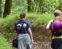 Naina Peak Day Trek