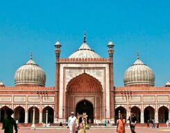8-Hour Custom Private Tour of Delhi