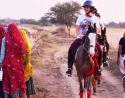 Horse Riding Adventure In Jaipur