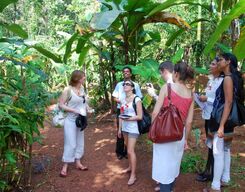 Goa Spice Farm Guided Tour