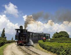 Jewel of Eastern Himalays - Kalimpong, Gangtok & Darjeeling