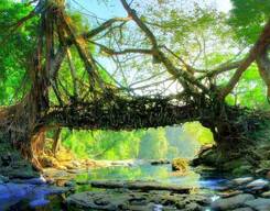THE MEGHALAYAN ADVENTURE