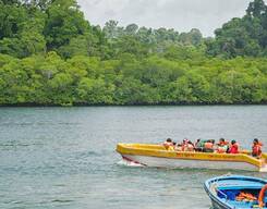 Baratang Island and Limestone Cave Tour from Port Blair