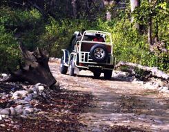 Two Day Jungle Tour Of Corbett National Park