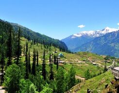 Mussoorie 2 Day Sightseeing Tour From Delhi