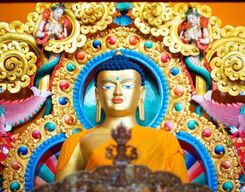 8 Hour Sightseeing Tour of Mcleodganj and Dharamshala