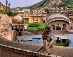 Temples Of Jaipur- Half Day Guided Tour